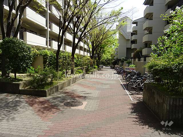 Ｂ棟とＤ棟の間の通路。植栽がきれいです。