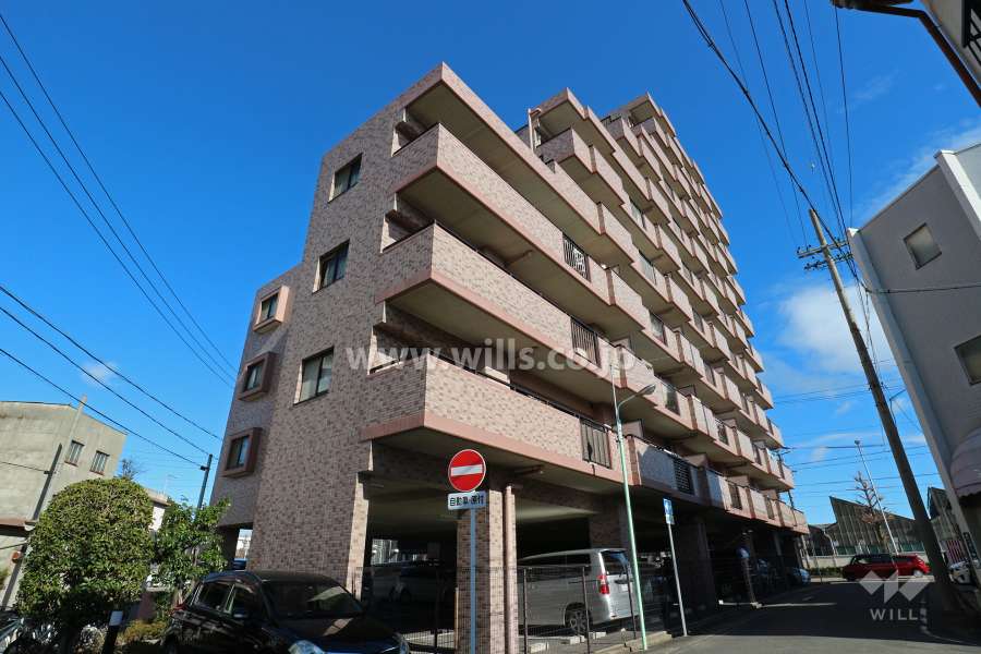 宝マンション白鳥の外観（西側から）