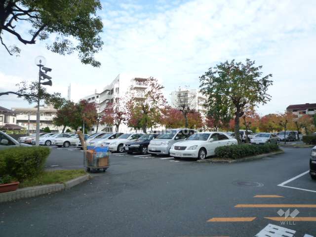 敷地内駐車場（平面式）