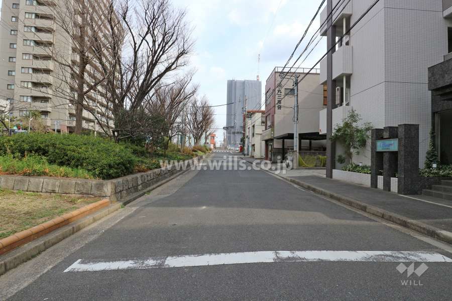 敷地北側の前面道路。敷地北側には花表東公園があります。