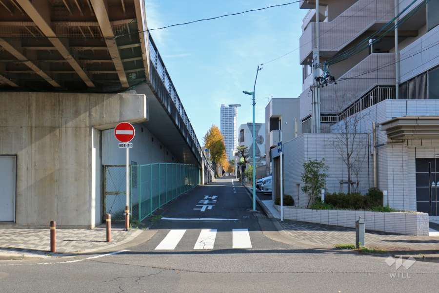 敷地南側の前面道路（西側から）