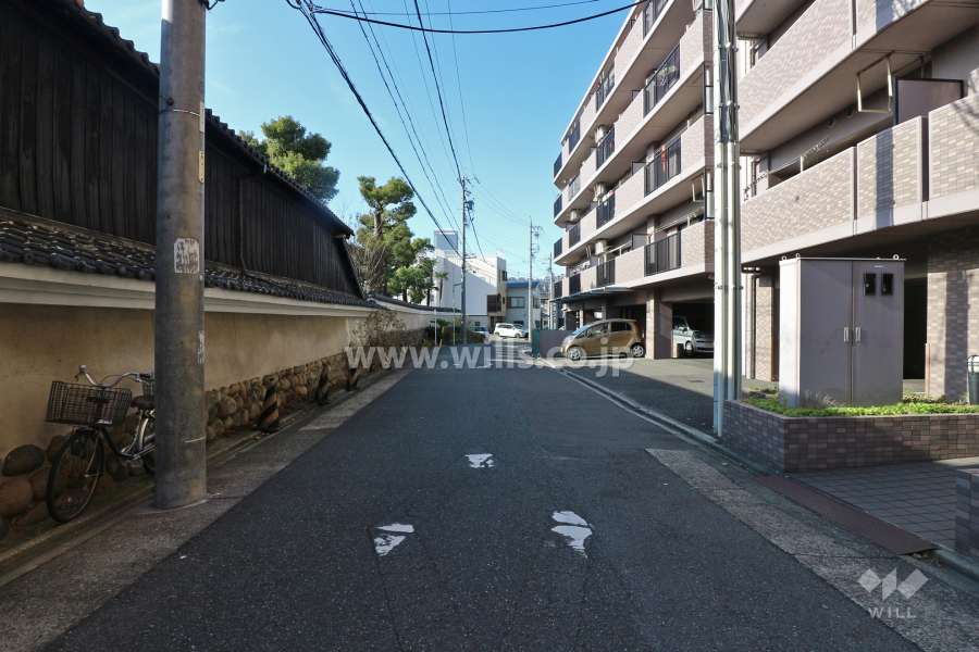 敷地南東側の前面道路（北東側から）