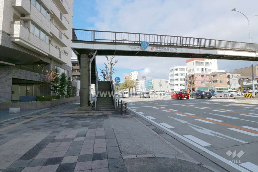 敷地北東側の前面道路（南東側から）