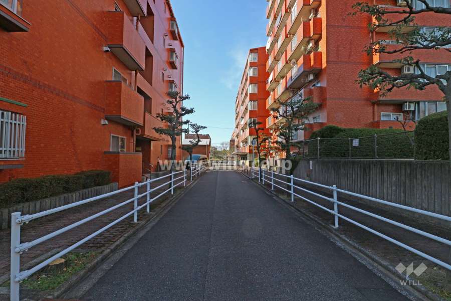 敷地南東側の前面道路（北東側から）