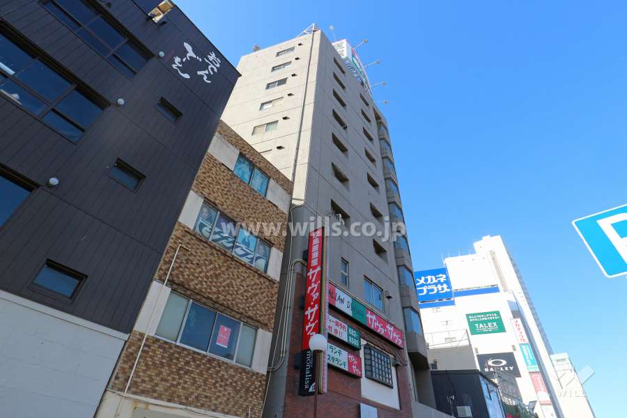 ジャルダン金山の外観（北東側から）