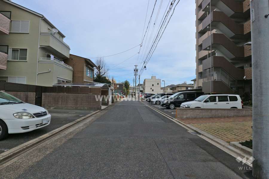 敷地北側の前面道路（西側から）