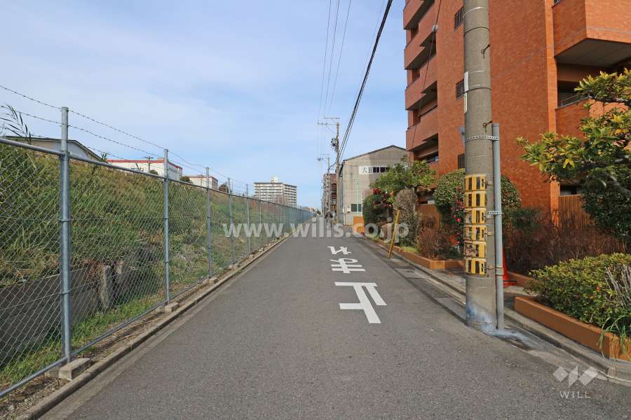 敷地西側の前面道路