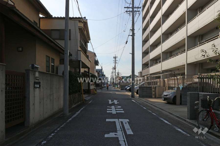 敷地南側の前面道路
