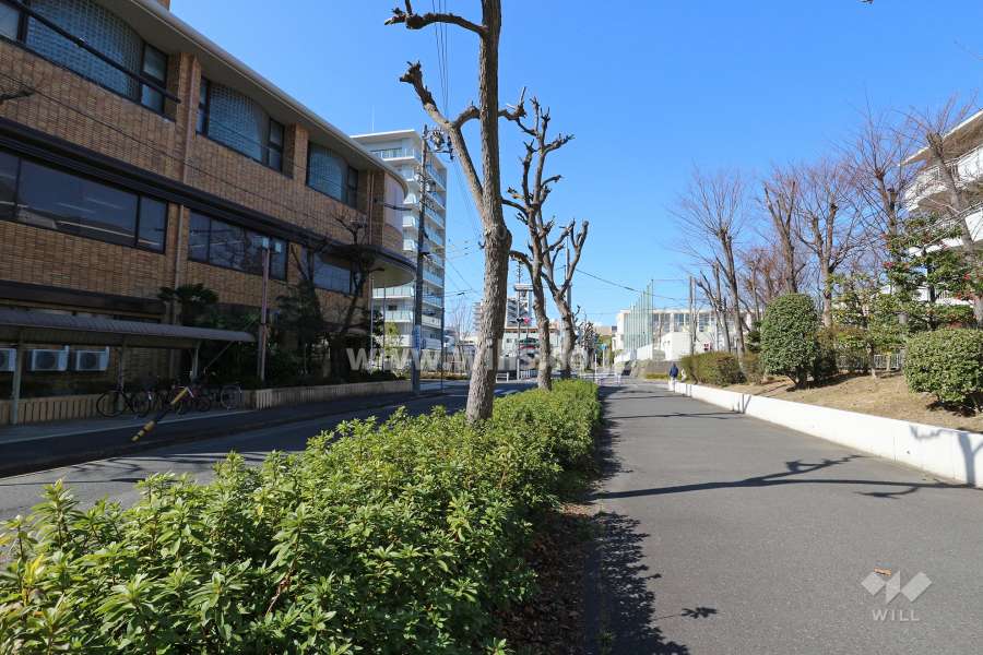 敷地南側の前面道路