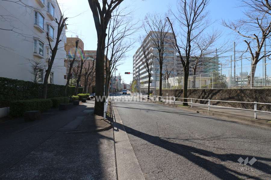 敷地西側の前面道路