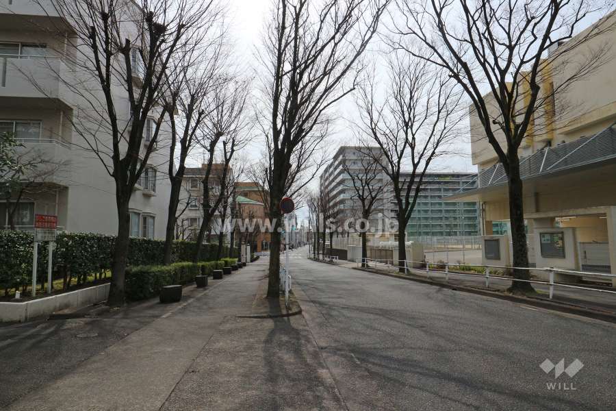 敷地西側の前面道路