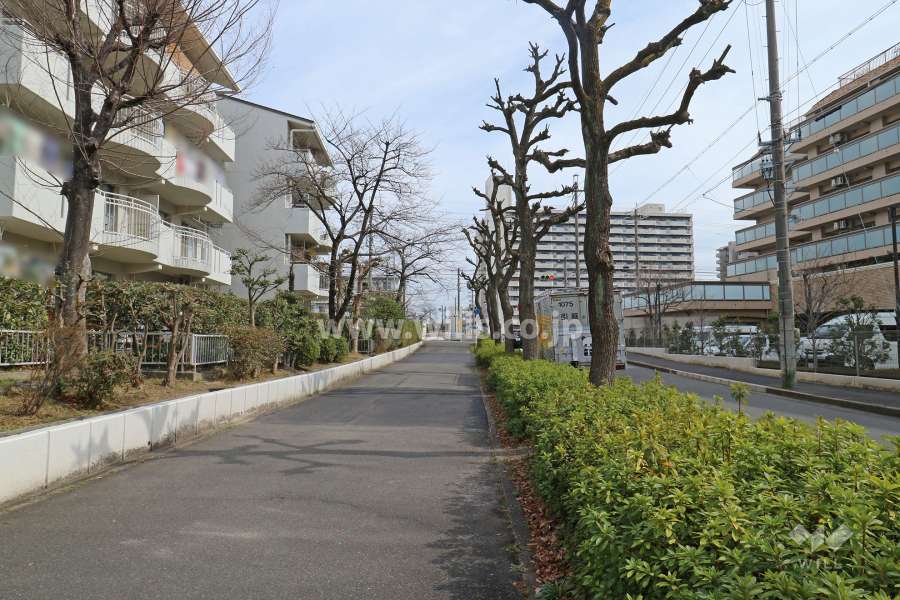 敷地南側の前面道路