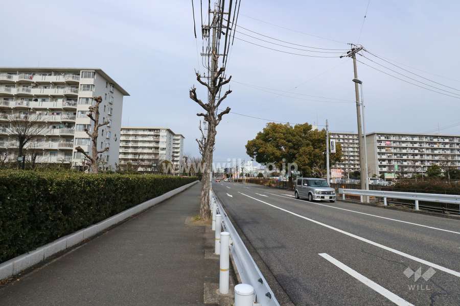 敷地東側の前面道路