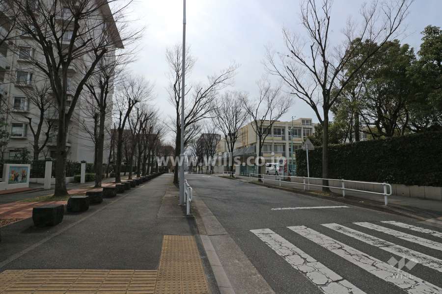 敷地西側の前面道路