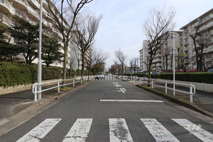 敷地南側の前面道路