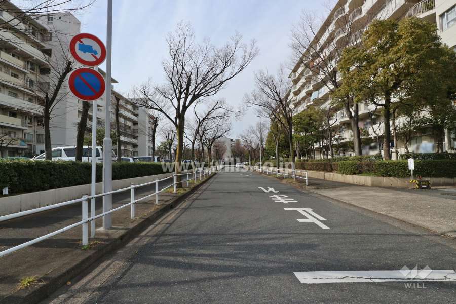 敷地北側の前面道路（東側から）