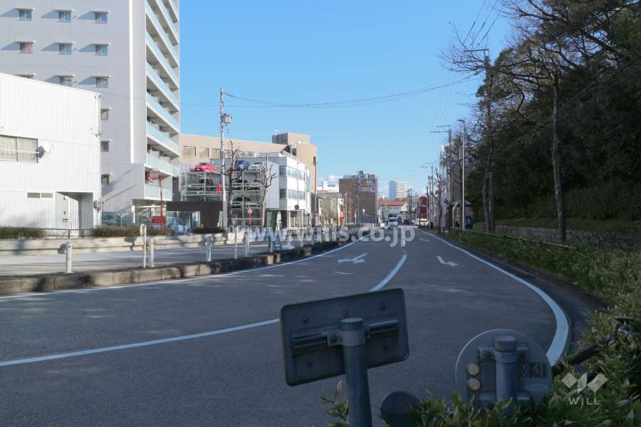 敷地南側の前面道路（西側から）