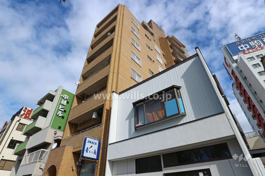 ダイアパレス神宮苑の外観（南東側から）