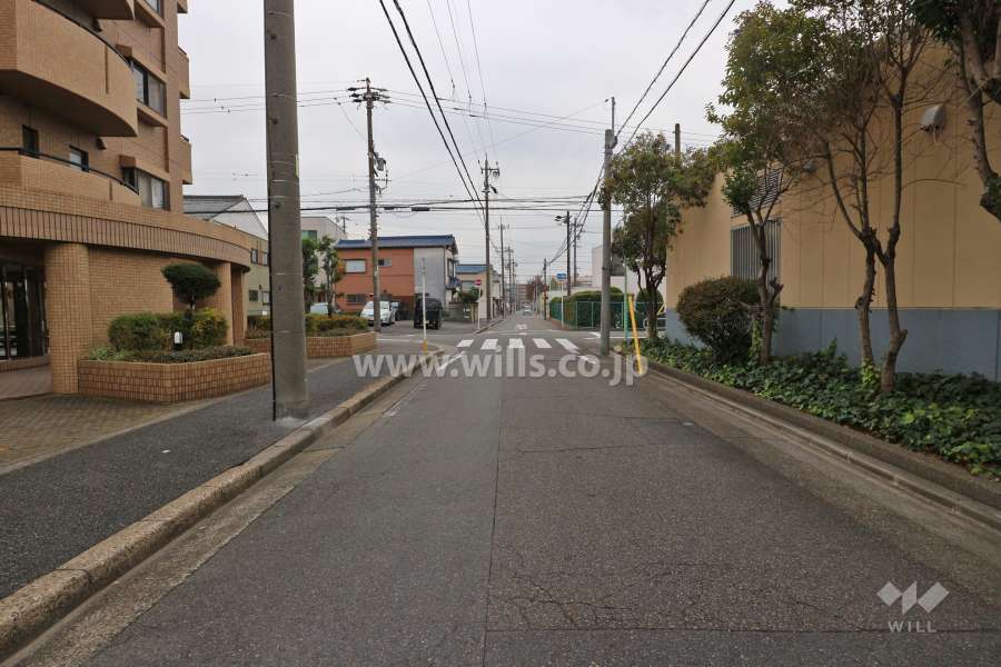 敷地西側の前面道路（北側から）