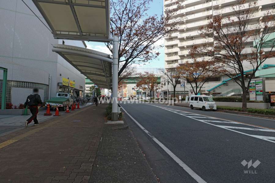 敷地北側の前面道路（東側から）