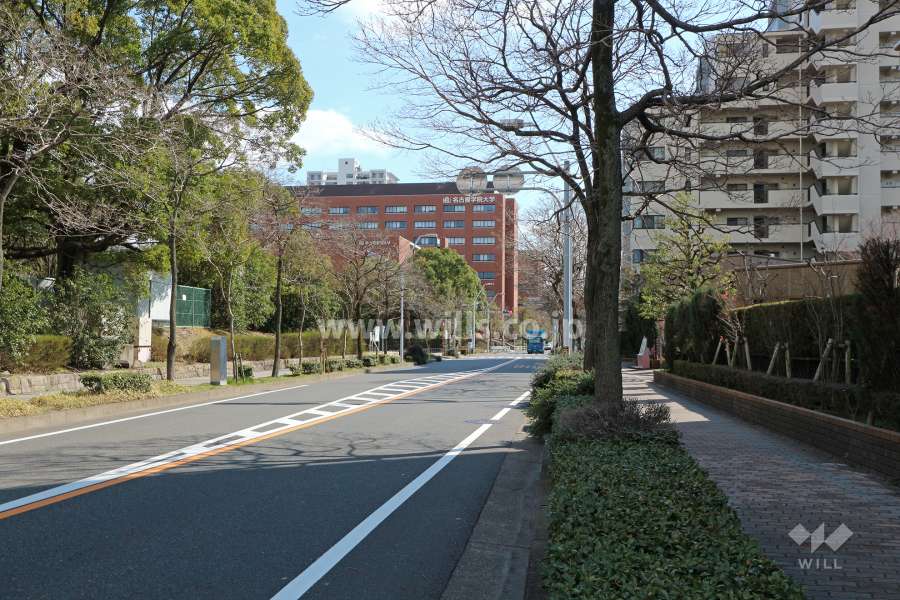 敷地北東側の前面道路