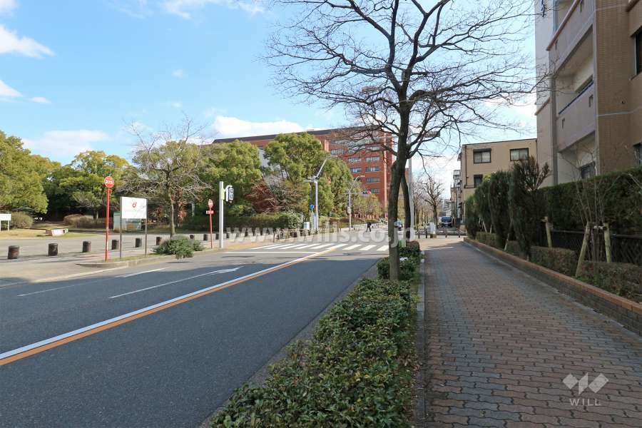 敷地北東側の前面道路