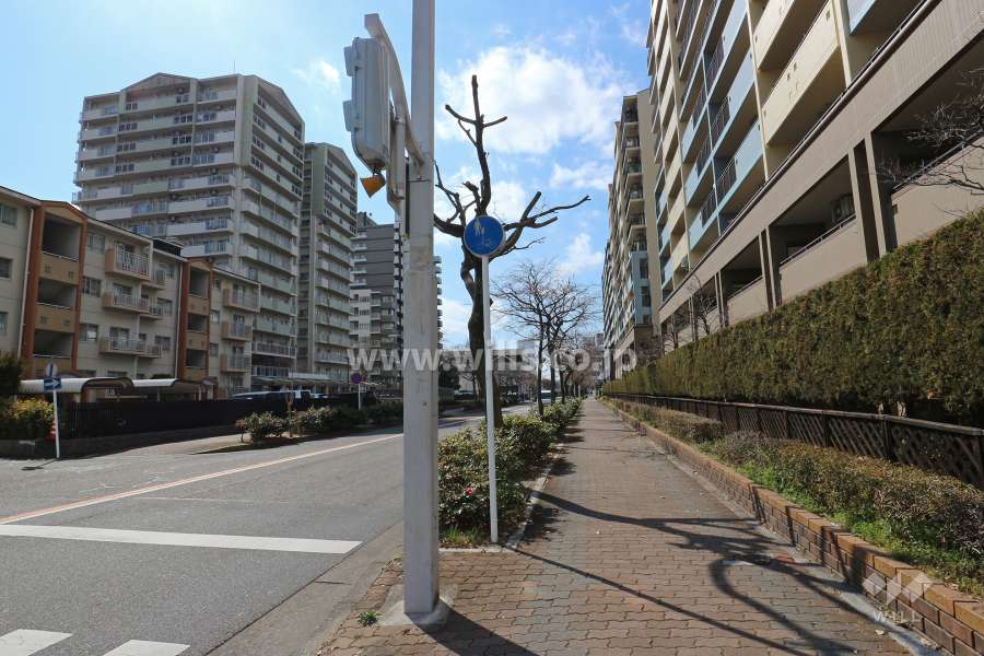 敷地南東側の前面道路