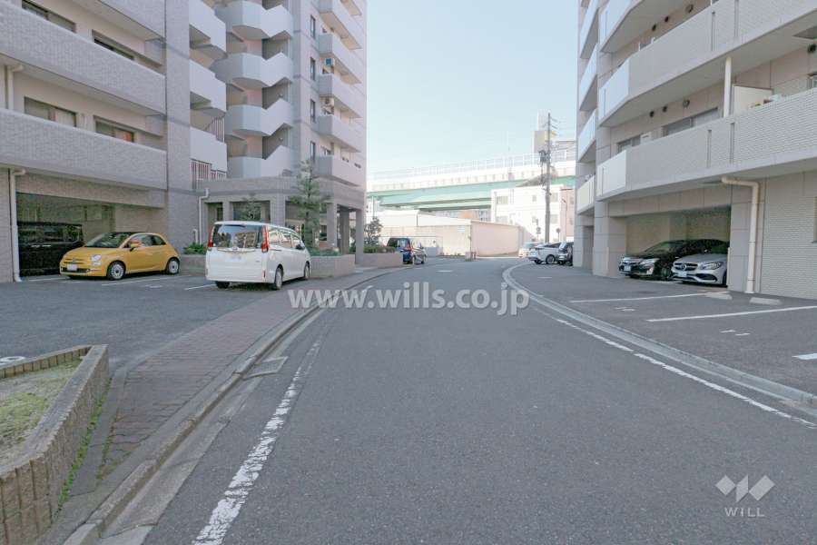 敷地北側の前面道路