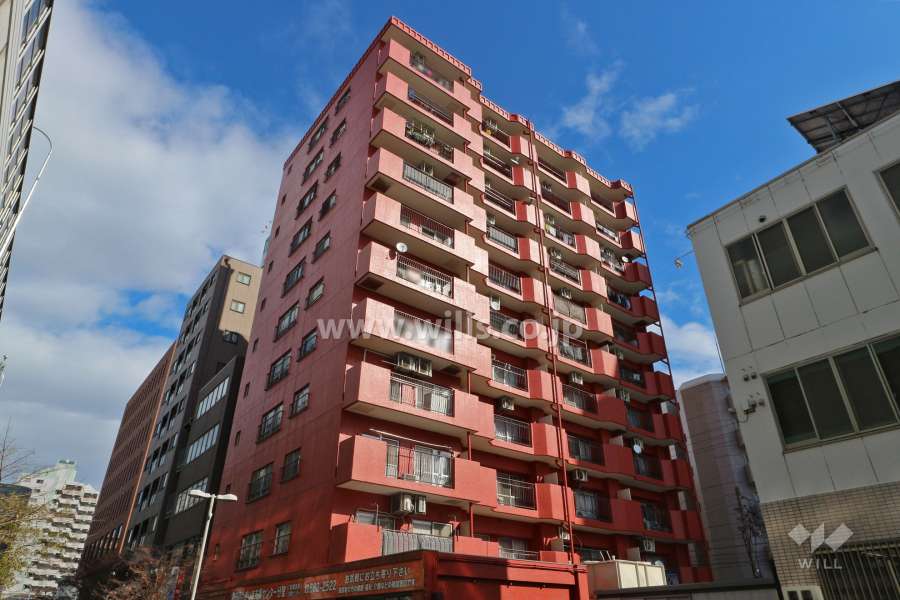 シャンボール日比野の外観（南西側から）