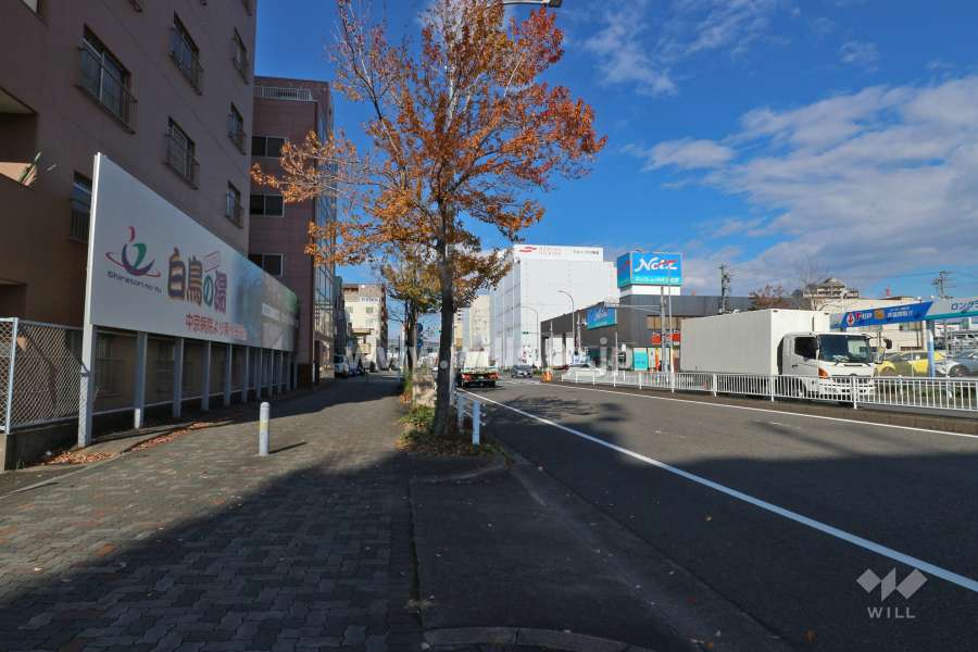 敷地東側の前面道路（南側から）