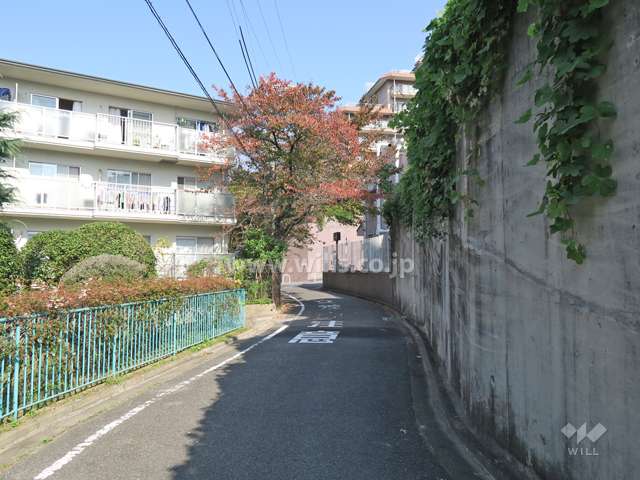敷地東側の前面道路。