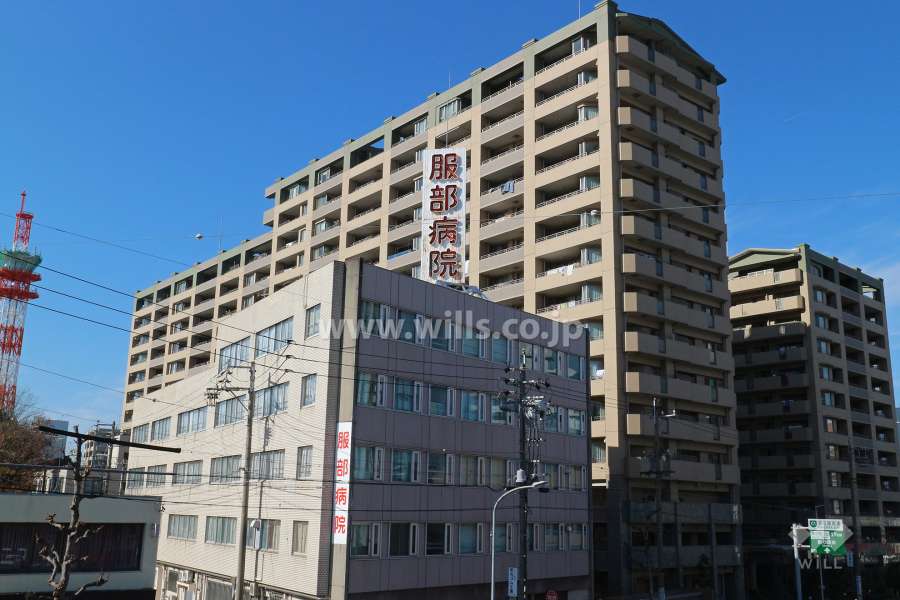 ライオンズマンション金山ニューシティの外観（南東側から）