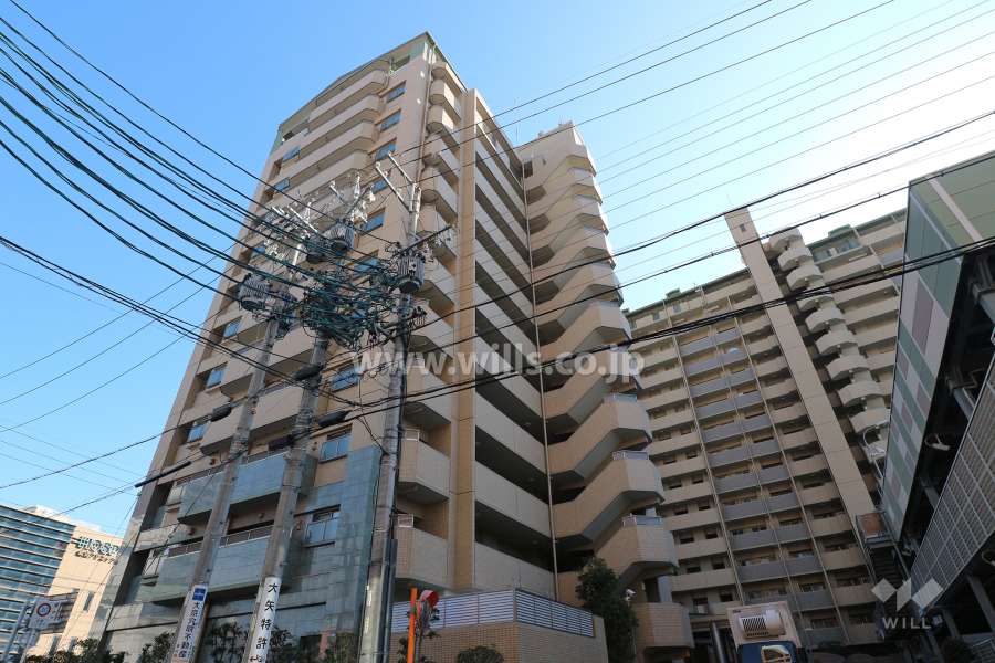 ライオンズマンション金山ニューシティの外観（北西側から）