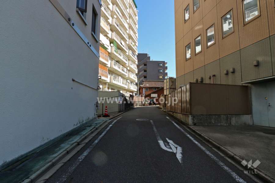 敷地南側の前面道路（西側から）