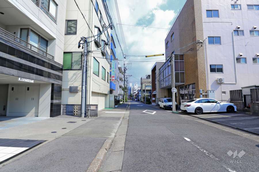 敷地南側の前面道路（西側から）