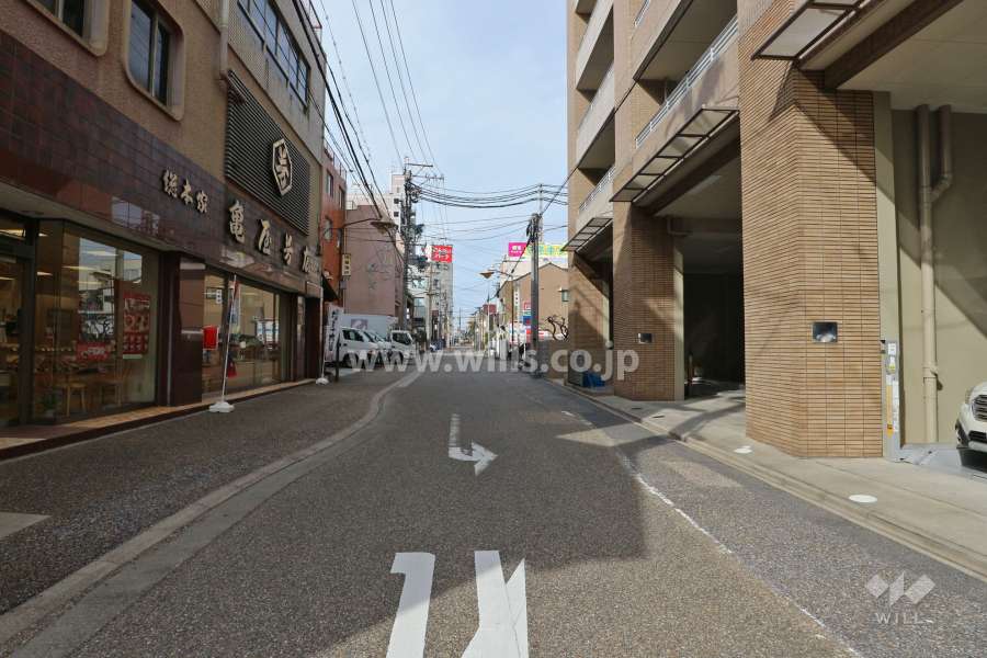敷地南西側の前面道路（南東側から）