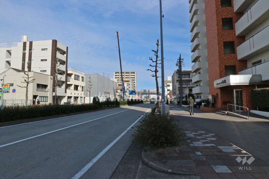 敷地北西側は県道225号に面しています。