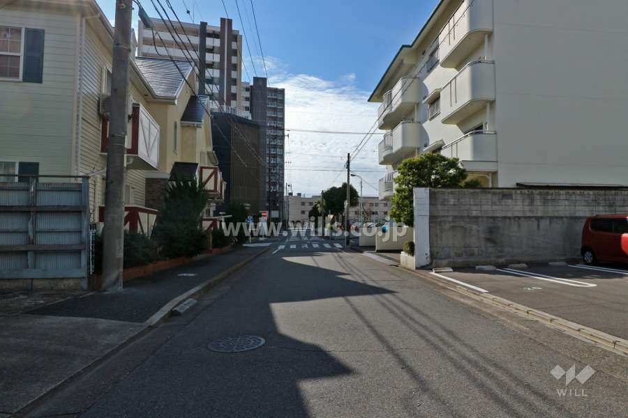 敷地南東側の前面道路（北東側から）
