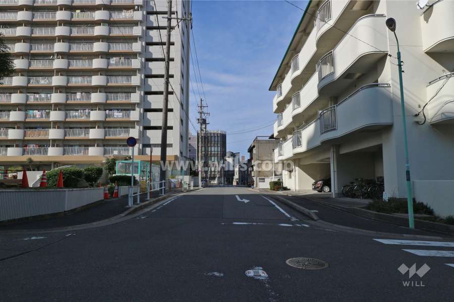 敷地南西側の前面道路（南東側から）