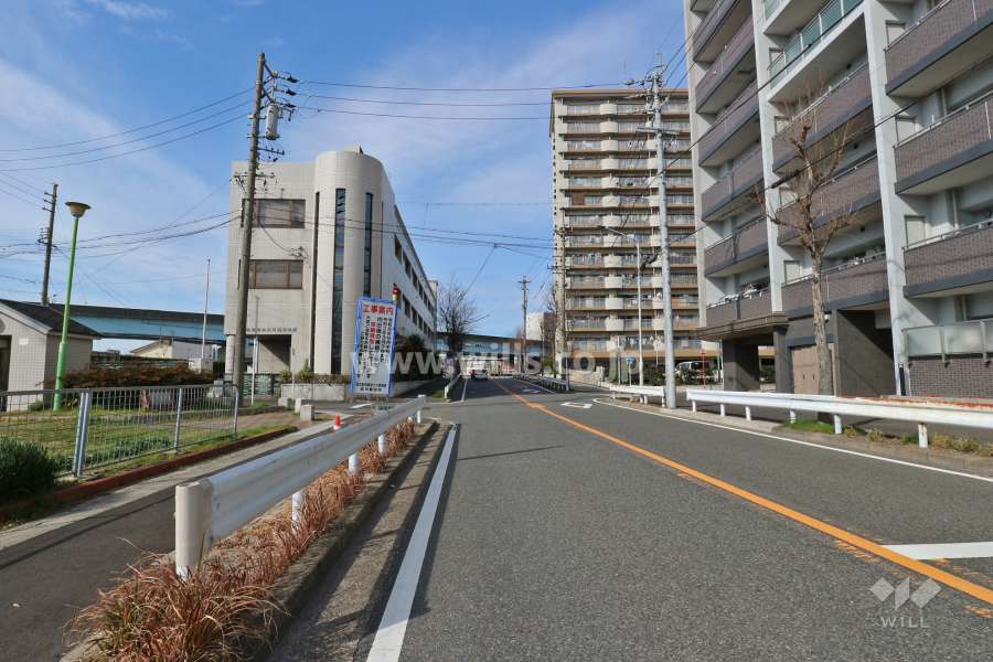敷地南西側の前面道路（南東側から）