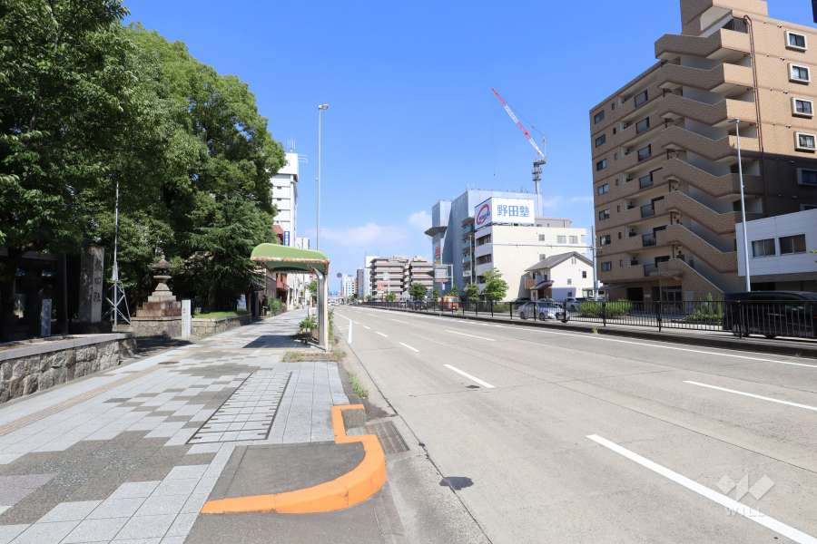 敷地南側の前面道路（西側から）
