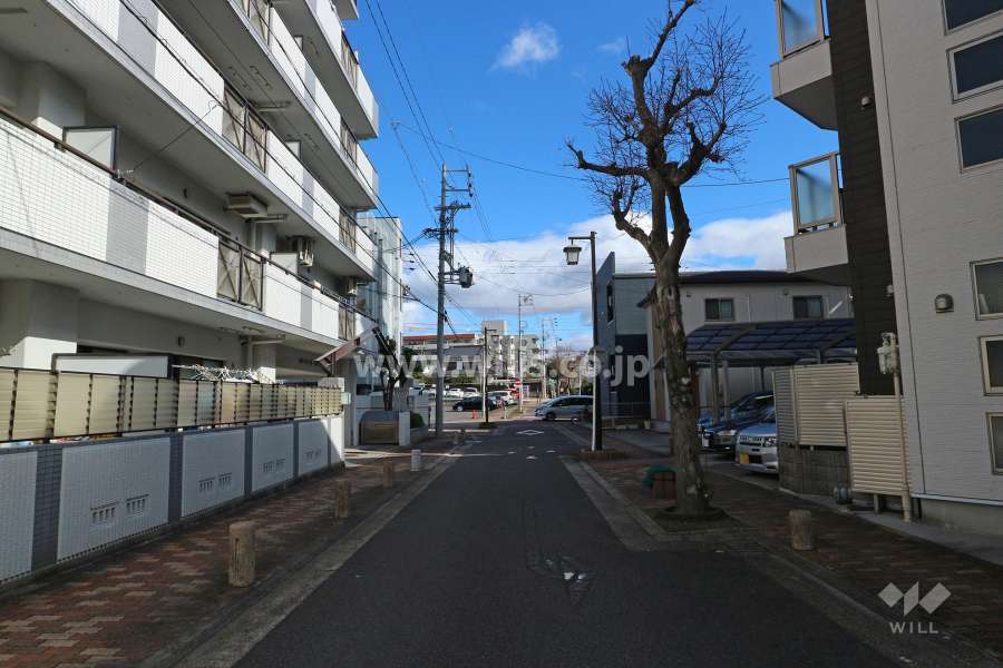 敷地南東側の前面道路