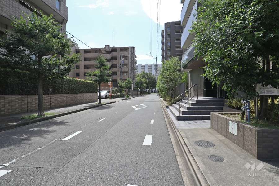 敷地東側の前面道路（北側から）