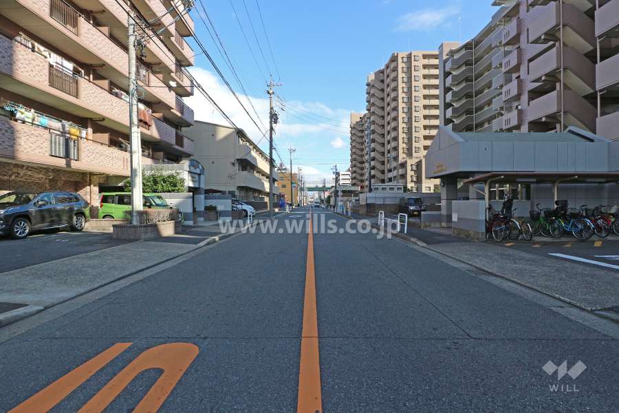 敷地南側の前面道路