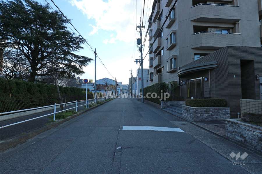 敷地東側の前面道路