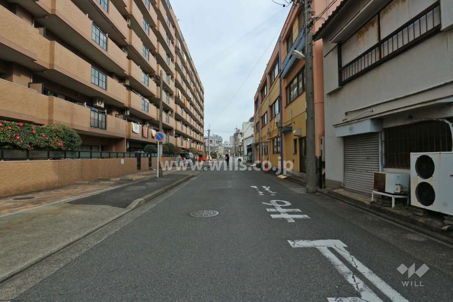 敷地南側の前面道路（西側から）