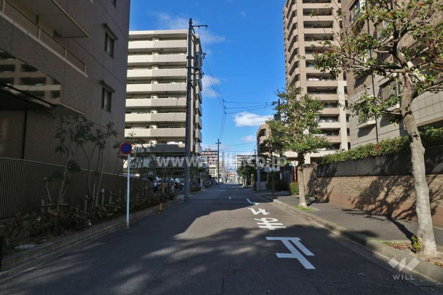 敷地西側の前面道路（南側から）