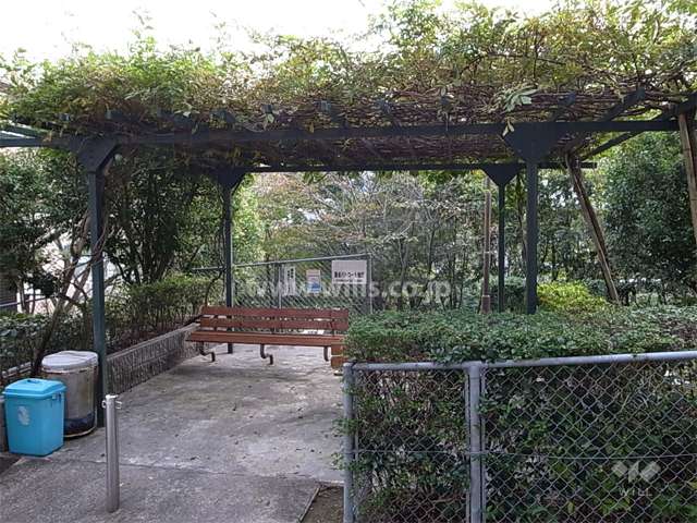 敷地内にある藤棚