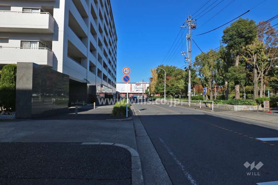 敷地東側の前面道路（南側から）