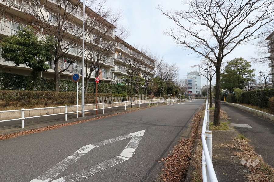敷地北側の前面道路